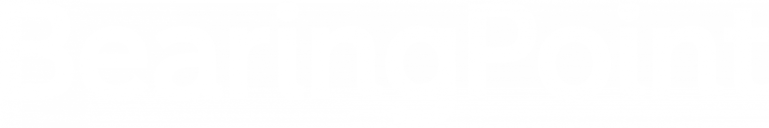 BearingPoint_Logotype_White_RGB